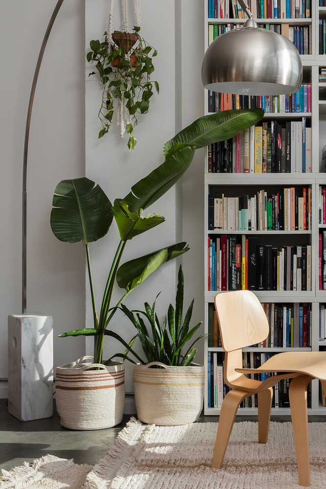 BASKET TWIN TOFFEE - Image 4